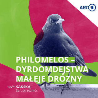 Philomelos w jamje (druhi dźěl)