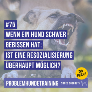 Wenn ein Hund schwer gebissen hat: Ist eine Resozialisierung überhaupt möglich?
