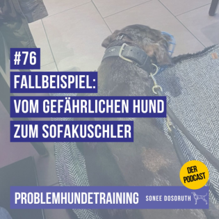 Fallbeispiel: Vom gefährlichen Hund zum Sofaskuschler