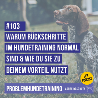 Warum Rückschritte im Hundetraining normal sind und wie du sie zu deinem Vorteil nutzt