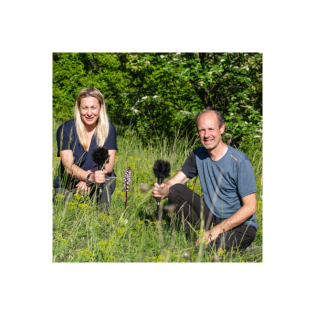 Horchidee | Allgemein