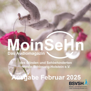 MoinSeHn - Ausgabe Februar 2025