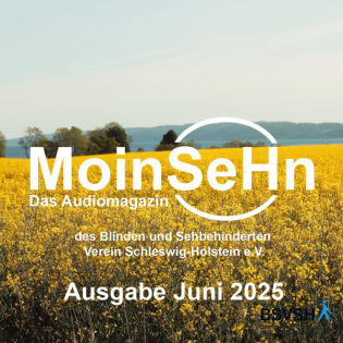 MoinSeHn - Ausgabe Juni 2025