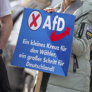 Die AfD – unaufhaltsam auf Höhenflug?