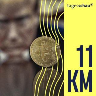 Bitcoin statt Dollar: Trump im Kryptorausch