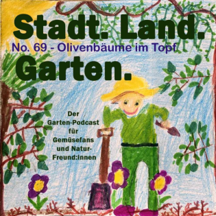 No. 69 - Wie am Mittelmeer: Olivenbäume im Topf richtig pflegen