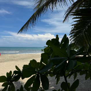 95. COSTA RICA (ENGLISH) - Manuel Antonio National Park - ROADTRIP