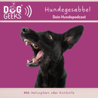 #66 DogGeeks-Hundegesabbel „Helicoptern oder Kontrolle“