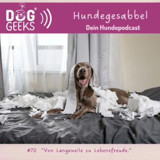 #70 DogGeeks-Hundegesabbel „Von Langeweile zu Lebensfreude“