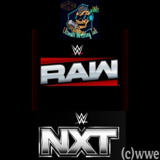 Monday Night RAW vom 03.02.2025 und NXT vom 04.02.2025 – Ausgabe 953 vom 05.02.2025.