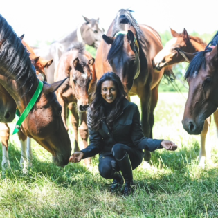 #231- Mathilda Karlsson (auf Englisch)- Into the mental world with the Olympic Showjumperin