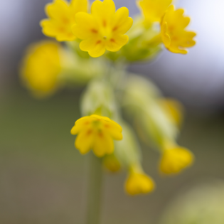 Gedanken am frühen Morgen - Innere Armut