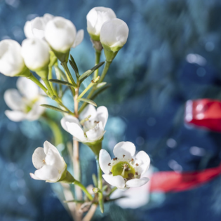Gedanken am frühen Morgen - Richtige Verwendung