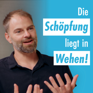 Schöpfungsverantwortung - Ist die Hoffnung auf den Himmel ein Hindernis für den Umweltschutz?