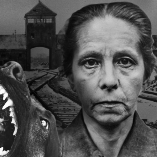 #49 Johanna Bormann: Die grausame Frau mit den Hunden sorgte in Auschwitz für Angst und Schrecken