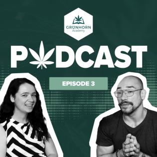 #31 Teil 3: Medizin oder Lifestyle? – Max Pollux über Konsumkultur und den Alltag mit Cannabistherapie