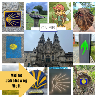 9: Im Regen eine Perle gefunden - Camino dos Faros