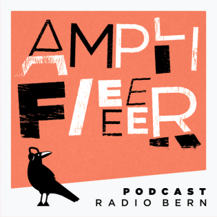 Amplifier-Interview with Sven Wunder