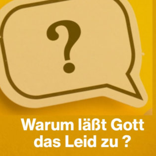 Warum läßt Gott das Leid zu? - Micha Nowak