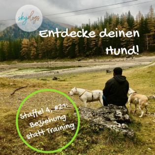 Beziehung statt Training