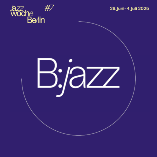 DIY - communities, roles, challenges, responsibilities