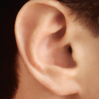 Sebastian Lehmann Elternzeit (355) Ohren