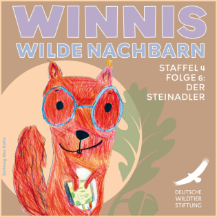 Staffel 4 / Folge 6 Steinadler: Turbo-Sturzflug, Greifvogel-Tarnanzug und All-Inclusive-Nest