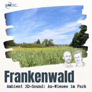 ASMR Frankenwald Au-Wiesen im Park: Ambient 3D-Sound zum Einschlafen