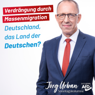Verdrängung durch Massenmigration