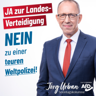 Ja zur Landesverteidigung, Nein zu einer teuren Weltpolizei!