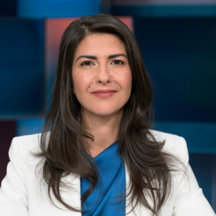 Serap Güler (CDU) - „Erdogan hat bei Türkischstämmigen ein Vakuum gefüllt“