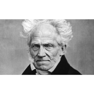 Sozialleben und Intelligenz sind unvereinbar