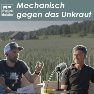 Pestizidfreier Weizen - die Optimale Balance zwischen Ökologie und Wirtschaftlichkeit