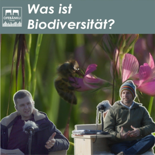 Biodiversität - Hype oder Hoffnung