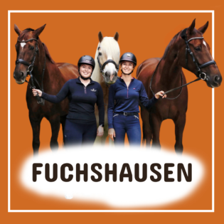 #84 Equitana heute vs. früher