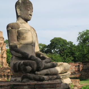 Clear Comprehension - beugen und strecken