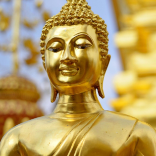 Die vier Positionen des Körpers