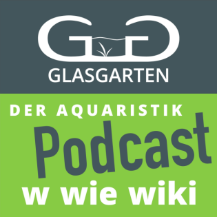 Die Bienengarnele #Wiki Podcats 74