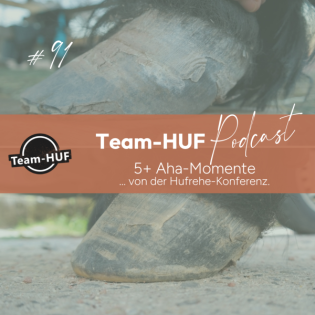 Folge 91: 5+ Aha-Momente der Hufrehe-Konferenz