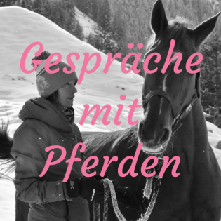 #41 Reitersitz - Geschickte und weniger geschickte Alternativsportarten