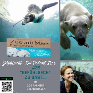 Gefühlsecht zu Gast im Zoo am Meer: von Wattwürmern und Robben - Episode 39