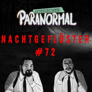 Aktenzeichen Nachtgeflüster #72: Erlebnisse der Community