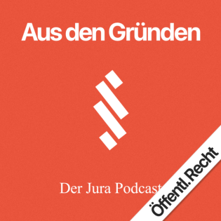 #19 Unmittelbare Wirkung von EU Richtlinien
