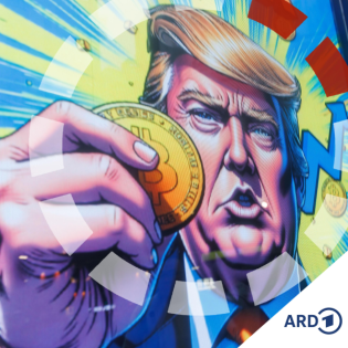 Bitcoin: Berauschende Höhen, tiefer Fall? Was Trump damit zu tun hat