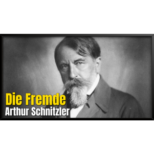 #115 - Arthur Schnitzler: Die Fremde | Hörbuch zum Einschlafen