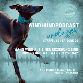 Windhunde verstehen. Beziehung oder Bindung – was war zuerst da?