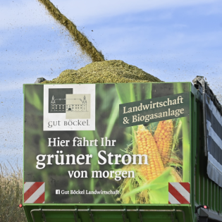 "Biogas leistet dasselbe wie Gaskraftwerke - 50 Milliarden Euro günstiger" - Sandra Rostek (HBB)
