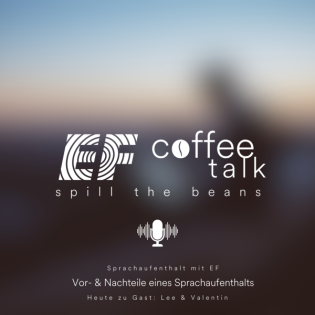 #17 - Vor- & Nachteile eines Sprachaufenthalts