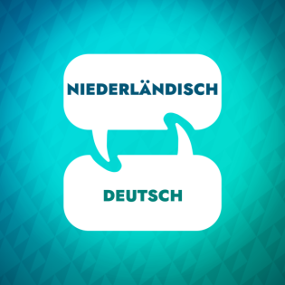 Niederländisch lernen: Eine Reise ins Kino