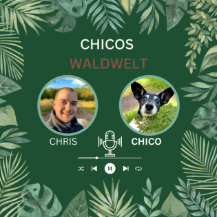 #24 Bewegung? Natürlich!